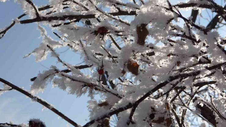 Ardahan’da Sibirya Soğukları Devam Ediyor