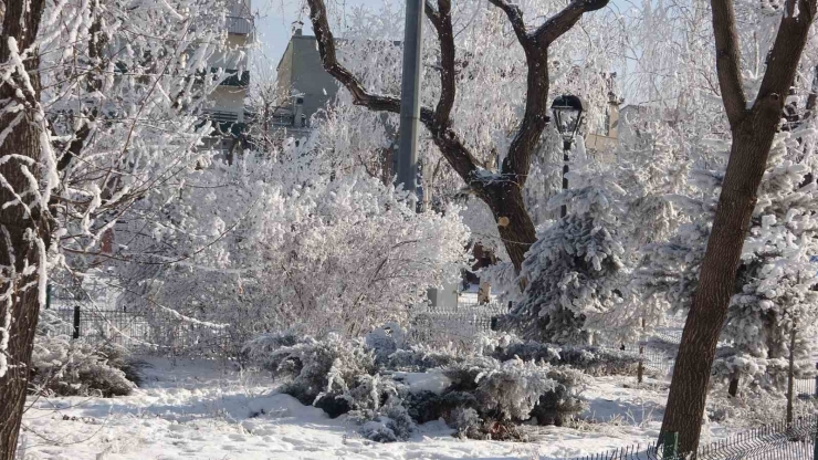 Ardahan’da Sibirya Soğukları Devam Ediyor