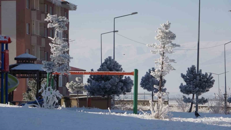 Ardahan’da Sibirya Soğukları Devam Ediyor