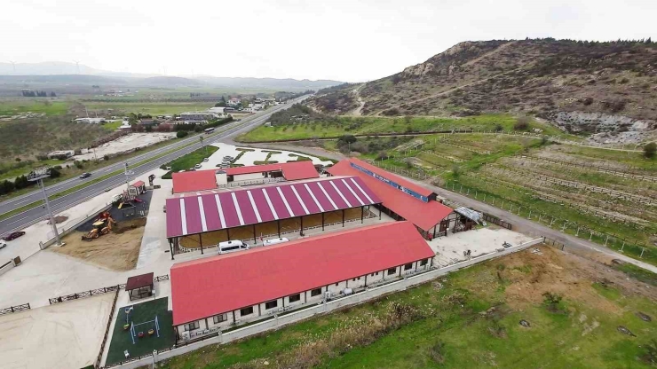 Aliapark Atla Terapi Ve Hipoterapi Merkezi Yeni Yüzüyle Hizmete Açıldı