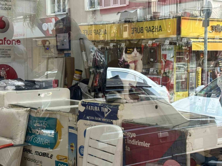 Hayatından Endişe Edildi, Cezaevinde Olduğu Ortaya Çıktı