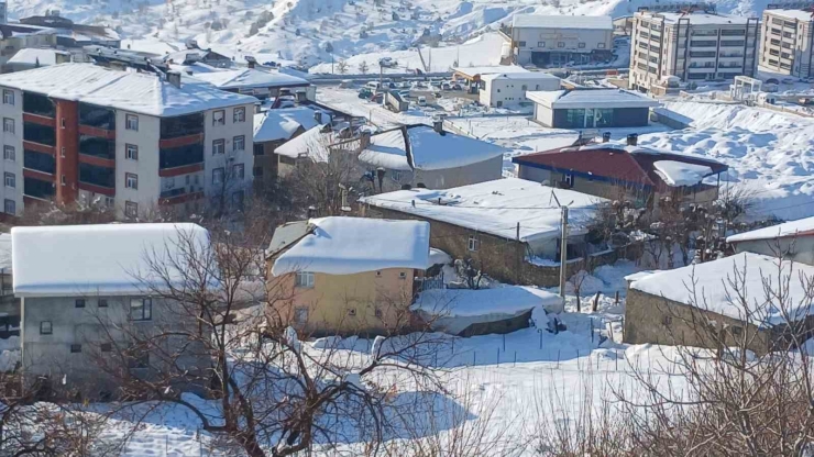 Kulp’ta Kar Yağışı Görsel Şölen Oluşturdu