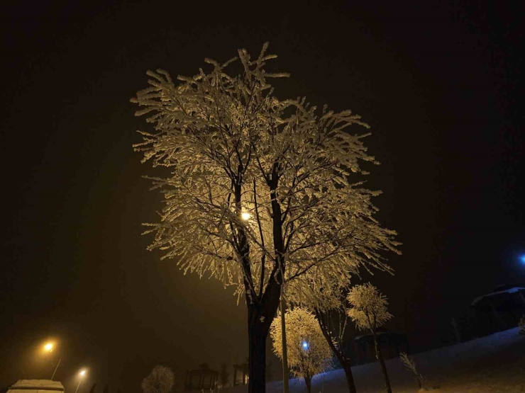 Elazığ’da Ağaçlar Kırağı Tuttu