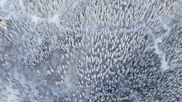 Bin 250 Rakımlı Yaralıgöz Dağı’nda Muhteşem Kar Manzarası