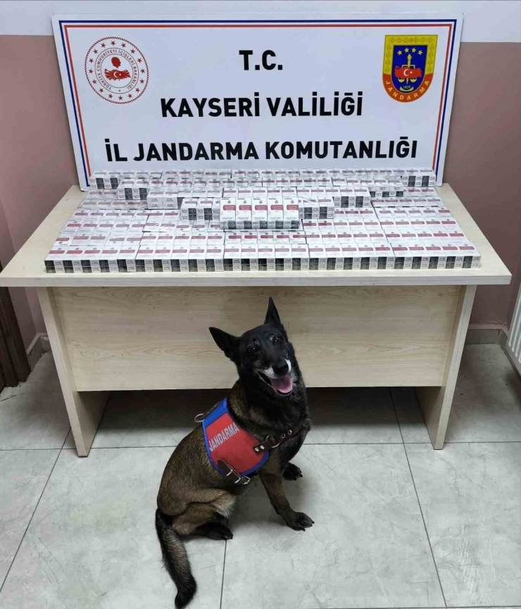 Kayseri’de Jandarma Ekipleri 2025 Yılında 7 Bin 900 Aranan Şahsı Yakaladı