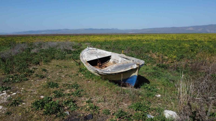Manisa’da Kuruyan Marmara Gölü Yeniden Canlanıyor