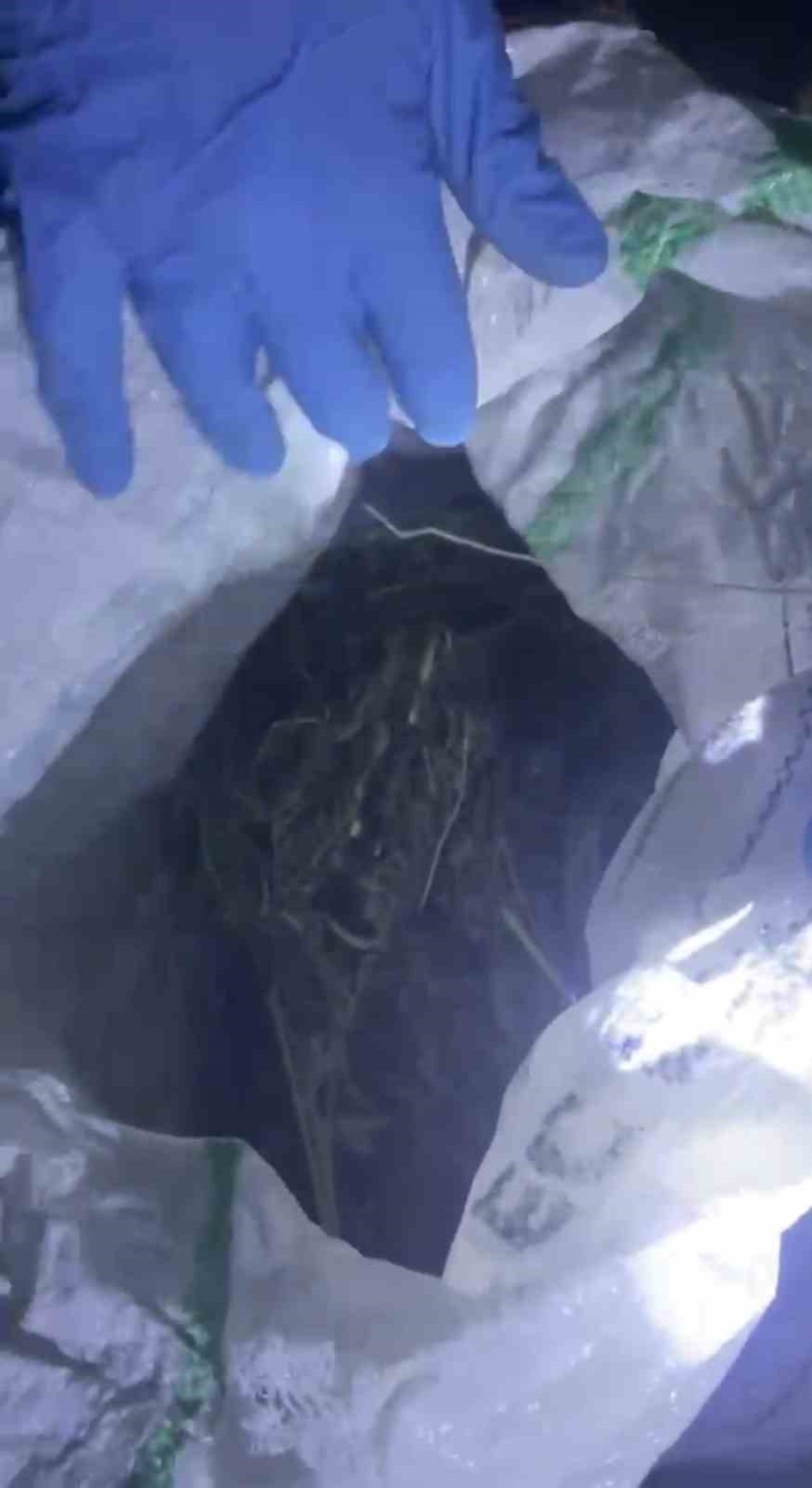 Çarşamba’da Uyuşturucu Operasyonunda 1 Gözaltı