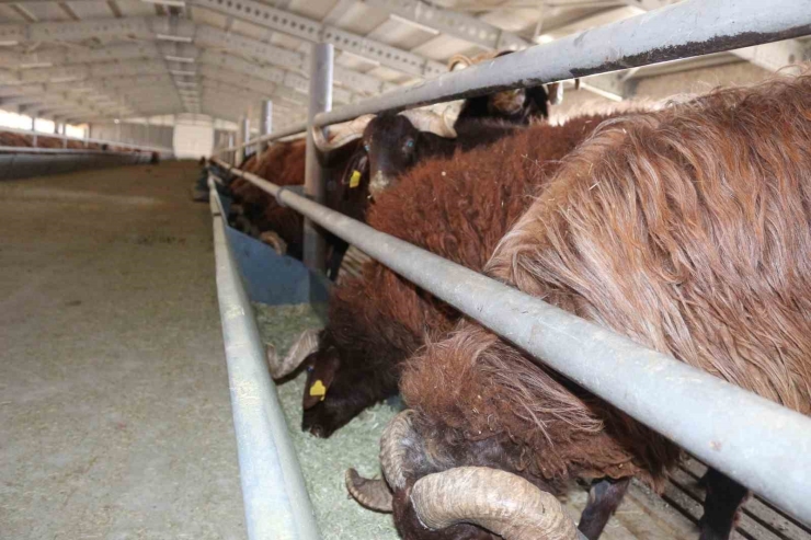 Tkdk’dan Erzurum’un Kırsal Kalkınmasına 300 Milyon Tl’lik Destek