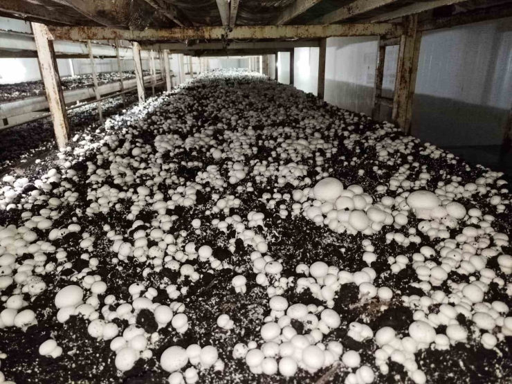 Tkdk’dan Erzurum’un Kırsal Kalkınmasına 300 Milyon Tl’lik Destek