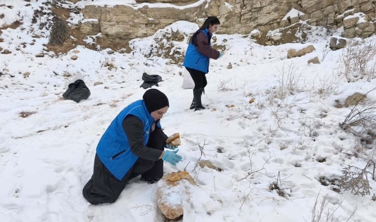 Tunceli’de Soğuk Kışa Sıcak Dokunuş: Gençler Yaban Hayatı İçin Seferber Oldu