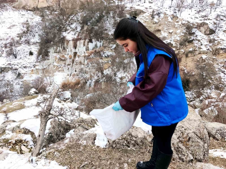 Tunceli’de Soğuk Kışa Sıcak Dokunuş: Gençler Yaban Hayatı İçin Seferber Oldu