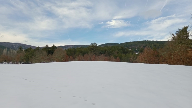 Yağan Kar Sonrası Adliye Göledi Piknikçilerin Akınına Uğradı