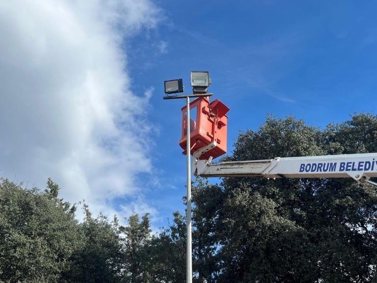 Bodrum’da Kent Estetiği Ve Bakım Çalışmaları