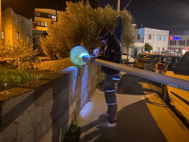 Bodrum’da Kent Estetiği Ve Bakım Çalışmaları