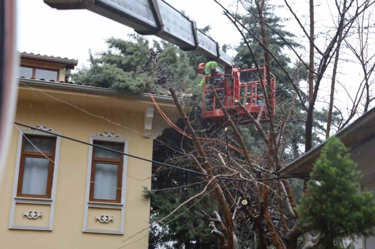 Büyükşehir Ekipleri, Şiddetli Rüzgara Karşı Sahada