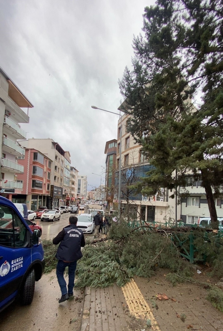 Büyükşehir Ekipleri, Şiddetli Rüzgara Karşı Sahada