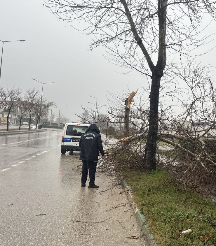 Büyükşehir Ekipleri, Şiddetli Rüzgara Karşı Sahada