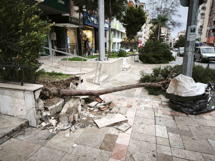 Denizli’de Şiddetli Rüzgar Hayatı Olumsuz Etkiledi: Çatılar Uçtu, İnsanlar Yürüyemedi