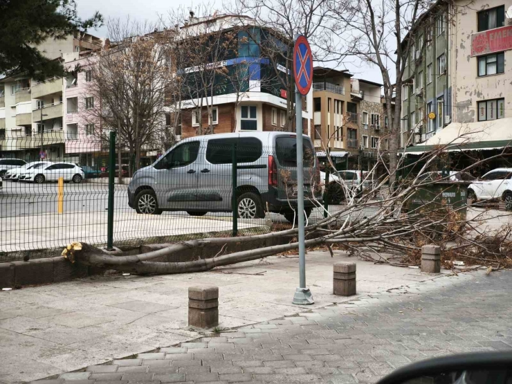Denizli’de Şiddetli Rüzgar Hayatı Olumsuz Etkiledi: Çatılar Uçtu, İnsanlar Yürüyemedi