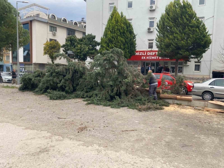 Denizli’de Şiddetli Rüzgar Hayatı Olumsuz Etkiledi: Çatılar Uçtu, İnsanlar Yürüyemedi