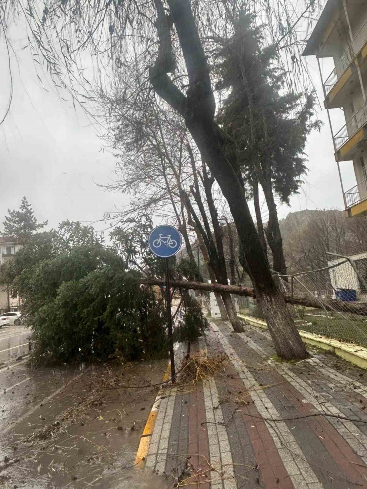Dursunbey’de Fırtına Ağaçları Ve Çatıları Uçurdu