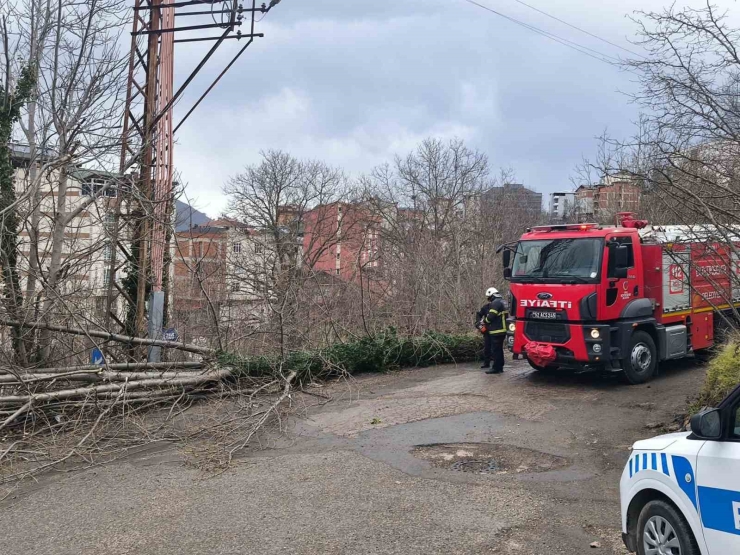 Ordu’da Fırtına Nedeniyle Çatı Uçtu, Ağaç Devrildi