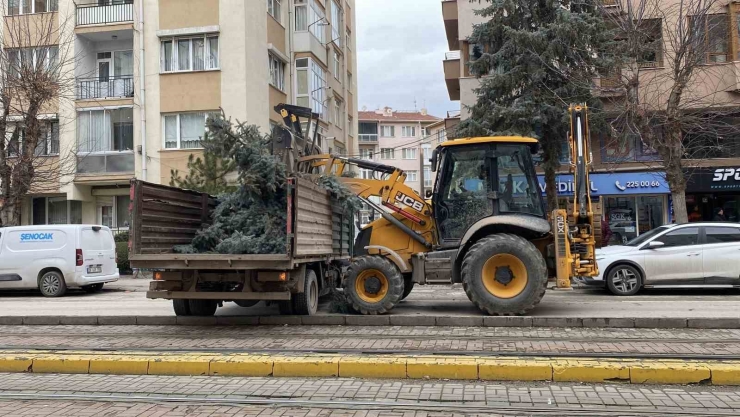 Eskişehir’de Fırtına Sebebiyle Ağaçlar Devrildi