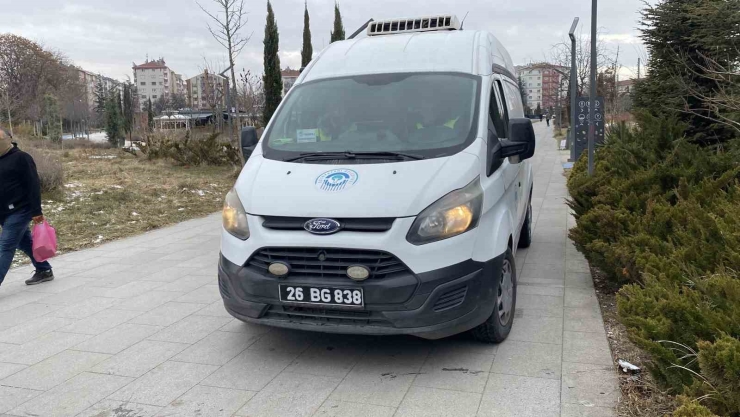 Hayvansever Kadın İle Belediye Personeli Arasında Köpek Tartışması