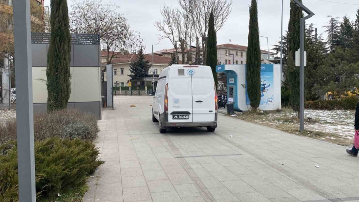 Hayvansever Kadın İle Belediye Personeli Arasında Köpek Tartışması