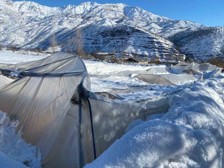 Derecik’te Kardan Dolayı 38 Sera Zarar Gördü