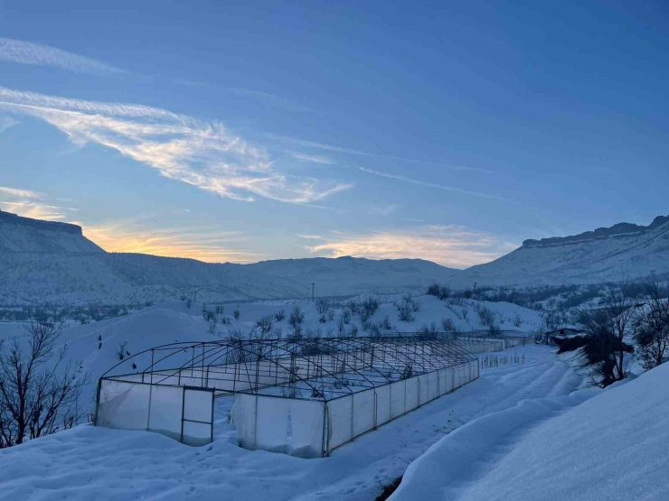 Derecik’te Kardan Dolayı 38 Sera Zarar Gördü