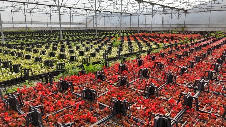 İ̇klim Nötr Şehirler Ağında "öncü Kent Samsun"