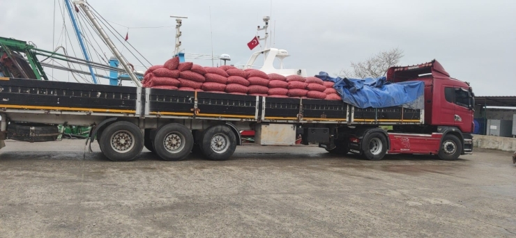 Kastamonu’da Beyaz Kum Midyesi Avcılığına Yönelik Denetimler Sürüyor
