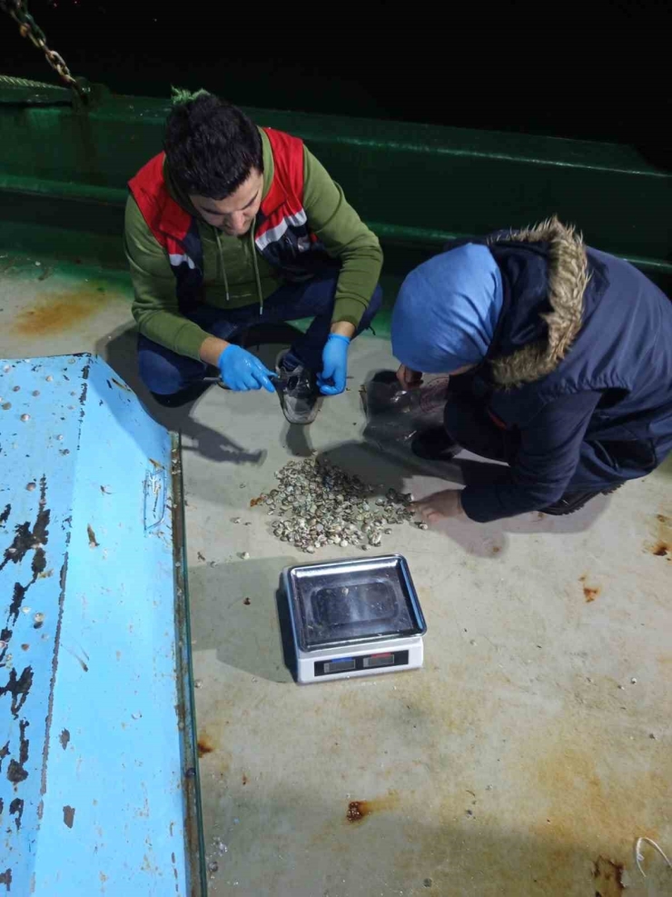 Kastamonu’da Beyaz Kum Midyesi Avcılığına Yönelik Denetimler Sürüyor