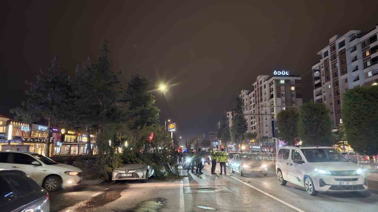 Kayseri’de Kuvvetli Rüzgar: Ağaç Otomobilin Üzerine Devrildi