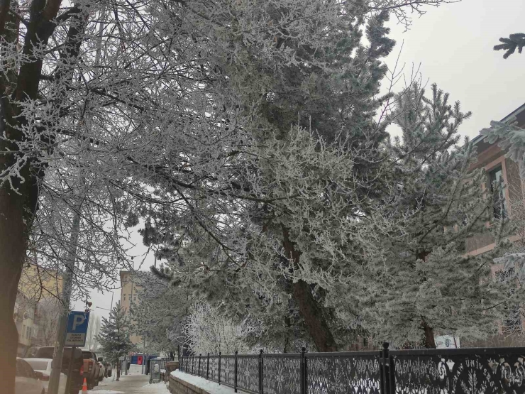 Sibirya Soğukları Hayatı Olumsuz Etkiliyor