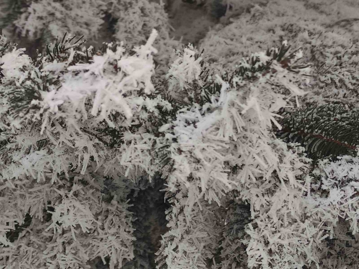 Sibirya Soğukları Hayatı Olumsuz Etkiliyor