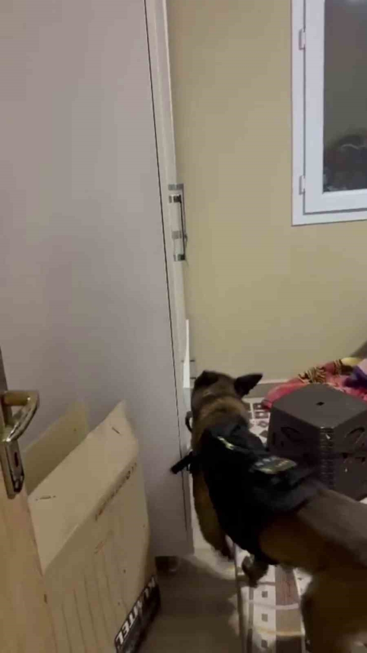 Polis Dedektif Gibi İz Sürdü, 17 Yaşındaki Eylül’ü Silahla Yaralayanın Ablası Olduğu Ortaya Çıktı