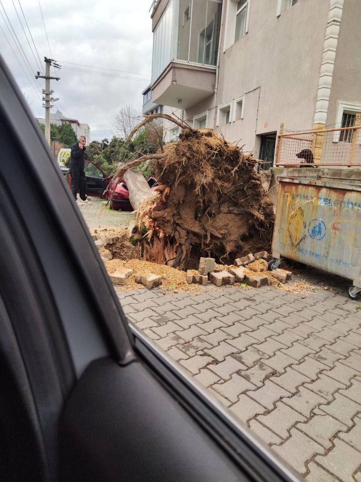 Yalova’da Fırtına Hayatı Olumsuz Etkiliyor