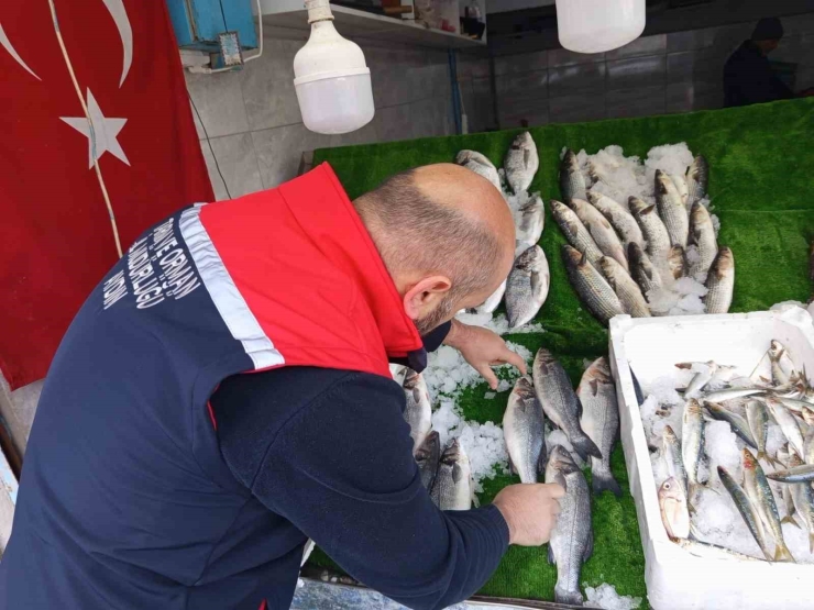 Köşk’te Su Ürünleri İşletmeleri Mercek Altında