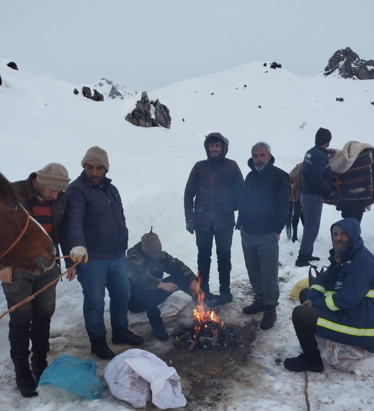 Batman’da Dağda Mahsur Kalan 6 Katır Kurtarıldı
