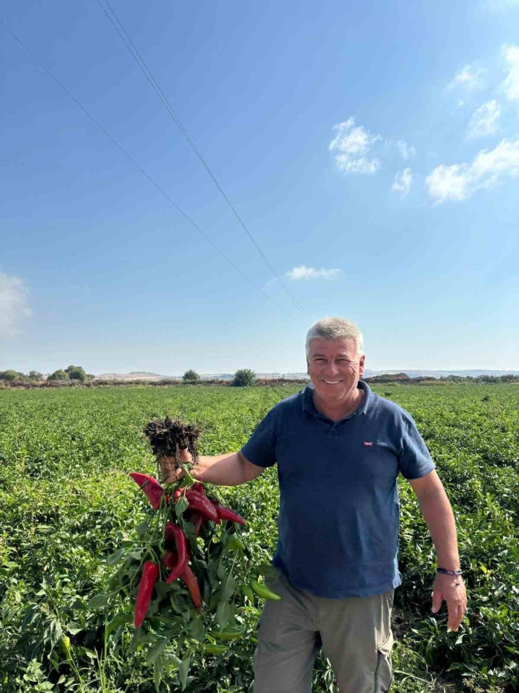 Çiftçilerden Çağrı: 