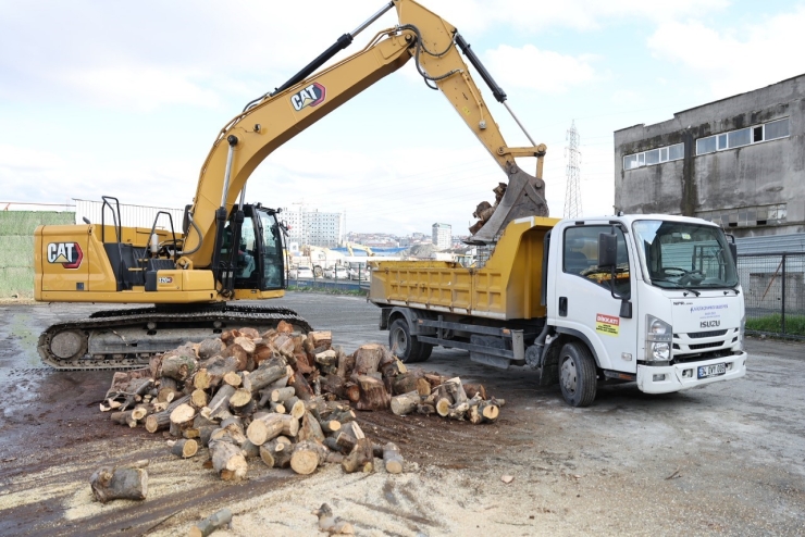 Küçükçekmece’de Budanan Ağaçlar, İhtiyaç Sahiplerine Yakacak Oluyor