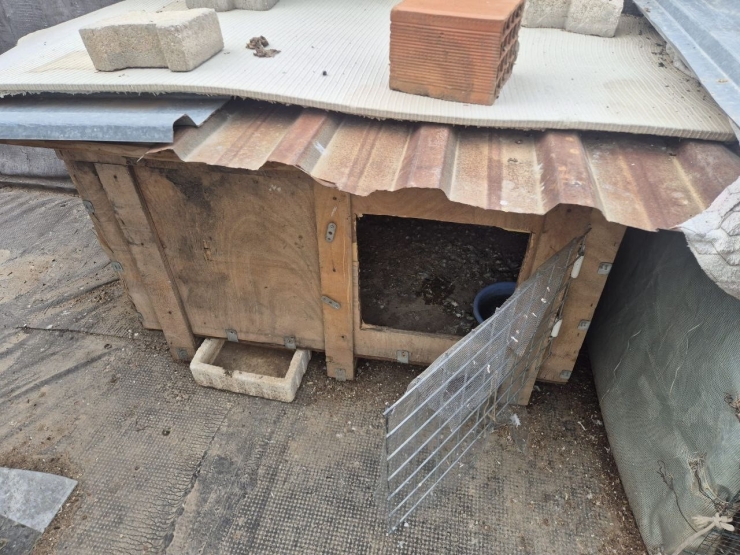 Asansöre İdrarını Yapıp Kuş Çalan Şüpheli Lise Öğrencisi Çıktı