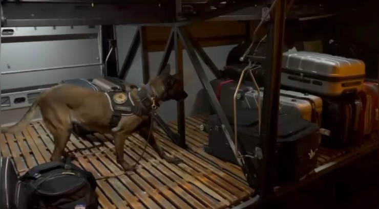 Osmaniye’de Otobüs Bagajından Uyuşturucu Çıktı: 1 Tutuklama