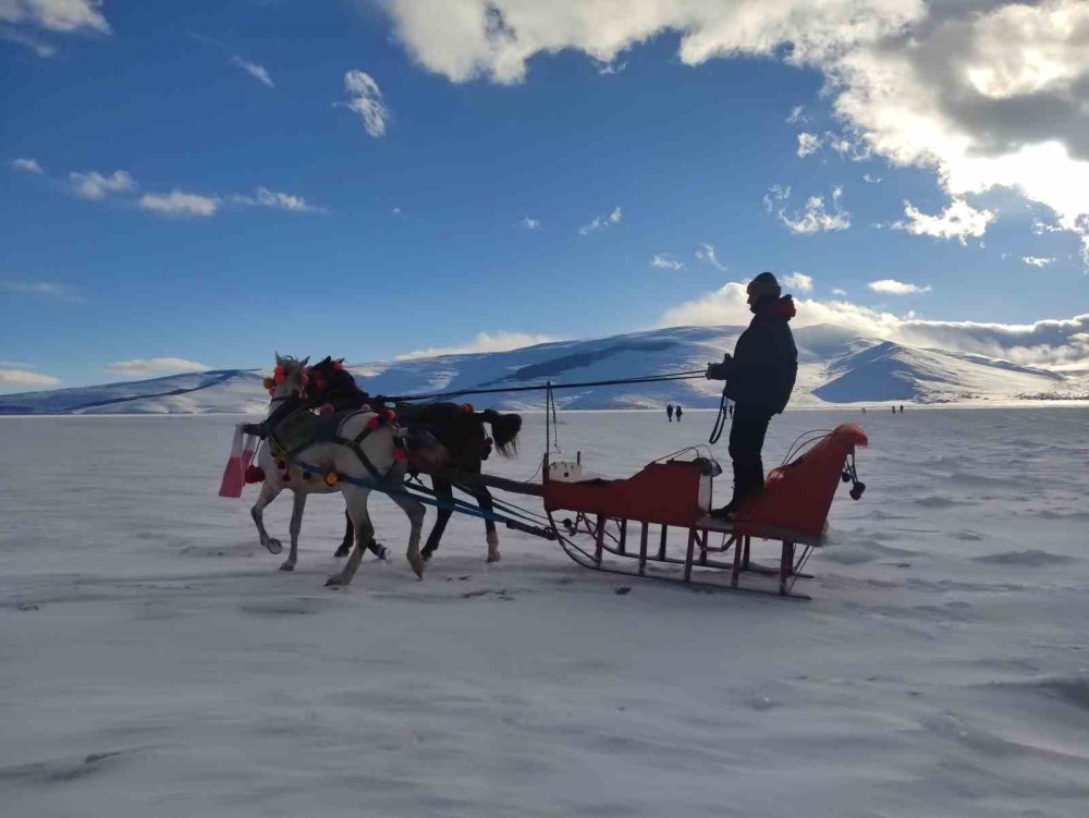 Çıldır Gölü’nde Atlı Kızak Heyecanı Başladı