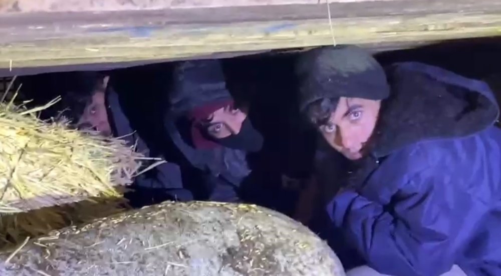 Kars’ta Saman Balyaları Arasından Kaçak Göçmen Çıktı: 1 Tutuklama