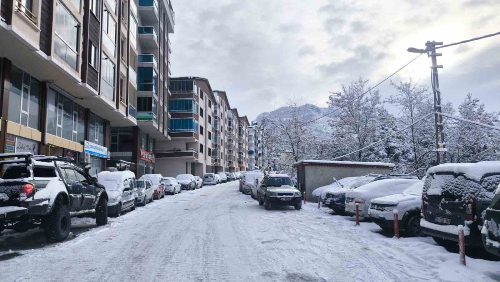 Artvin’de Kar Yağışı Nedeniyle 34 Köy Yolu Ulaşıma Kapandı