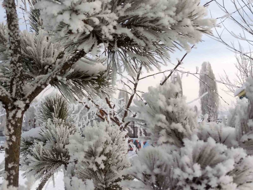 Ardahan’da Dondurucu Soğuklar Etkili Oldu