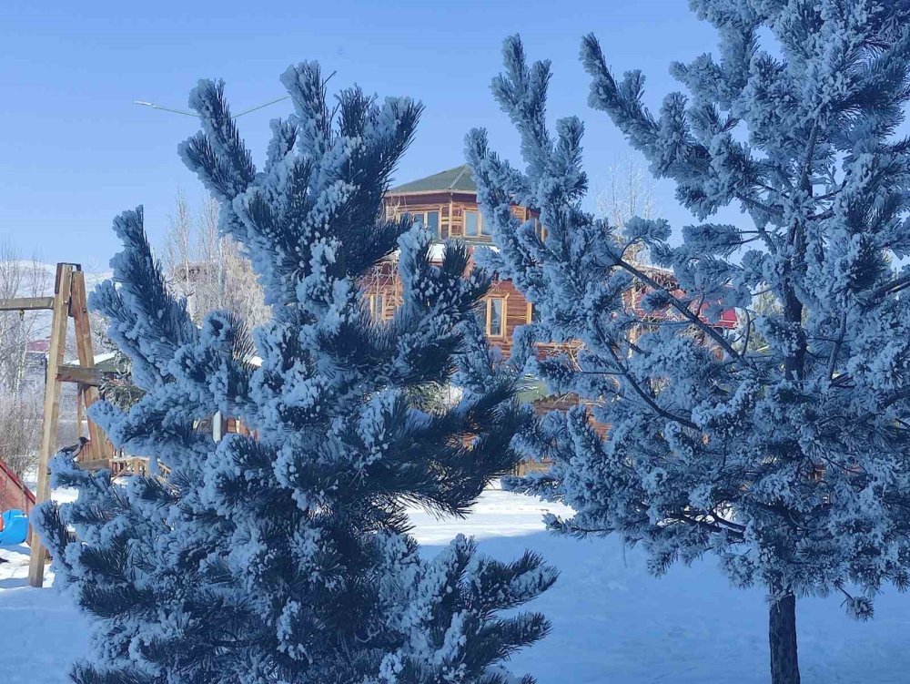 Ardahan’da Dondurucu Soğuklar Etkili Oldu